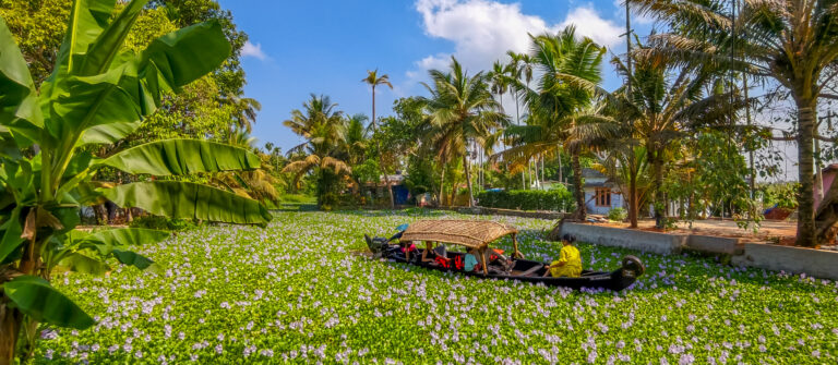 Impressionen aus den Backwaters