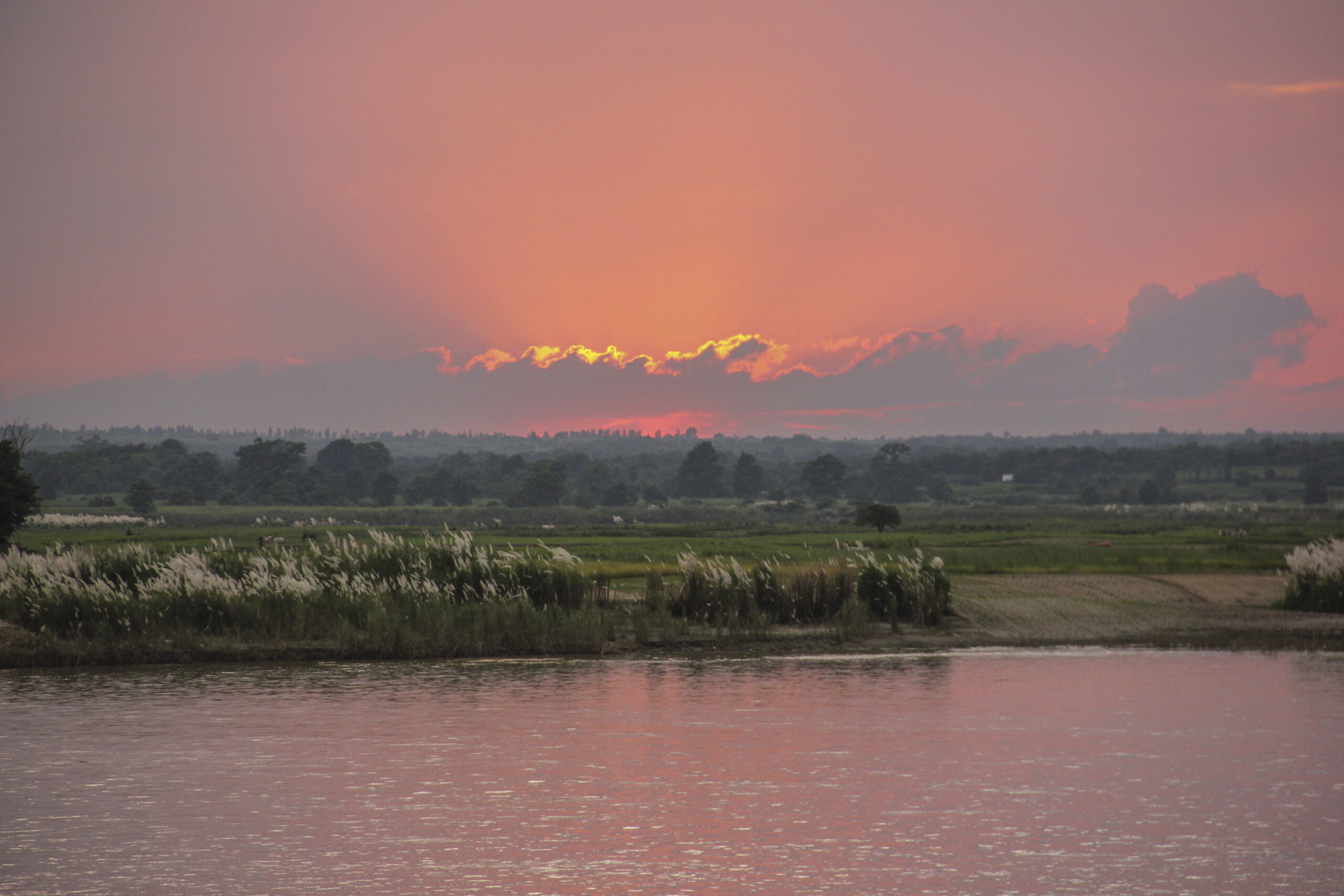 Dramatischer rosafarbener Sonnenuntergang über dem Mekong-Fluss mit Riedgräsern am Ufer und weitläufigen Feldern im Hintergrund
